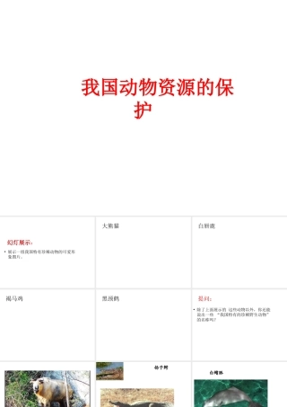 八年级生物上册 17.2 我国的动物资源及其保护课件 （新版）北师大版-（新版）北师大版初中八年级上册生物课件