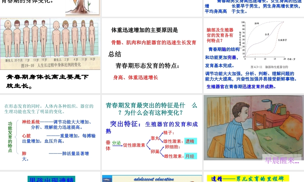 八年级生物上册 4.3.2 青春期的发育课件 （新版）济南版-（新版）济南版初中八年级上册生物课件