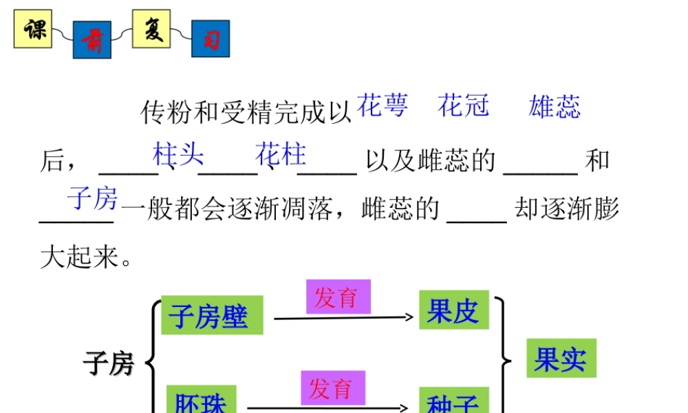 八年级生物上册 4.1.4《种子的萌发》课件2 （新版）济南版-（新版）济南版初中八年级上册生物课件