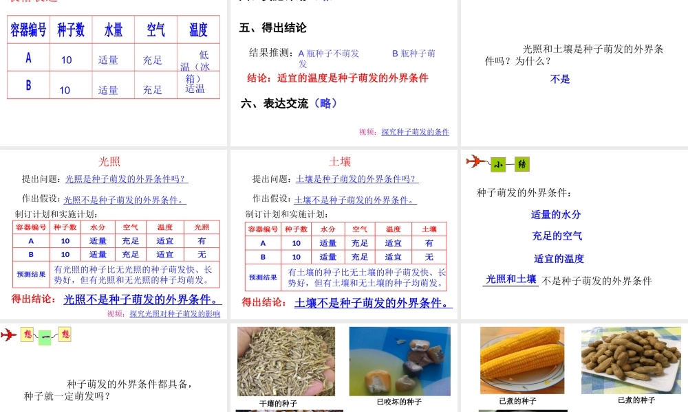 八年级生物上册 4.1.4《种子的萌发》课件2 （新版）济南版-（新版）济南版初中八年级上册生物课件