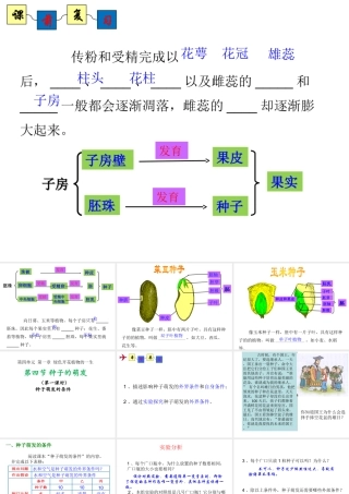 八年级生物上册 4.1.4《种子的萌发》课件2 （新版）济南版-（新版）济南级上册生物课件