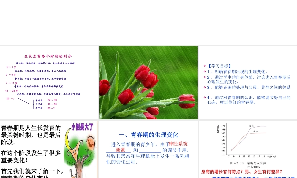 八年级生物上册 4.3.2 青春期的发育课件 （新版）济南版-（新版）济南级上册生物课件