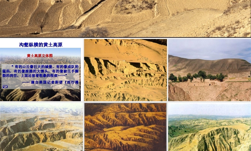 八年级地理下册 第六章 第三节 世界最大的黄土堆积区—黄土高原课件 （新版）新人教版-（新版）新人教版初中八年级下册地理课件