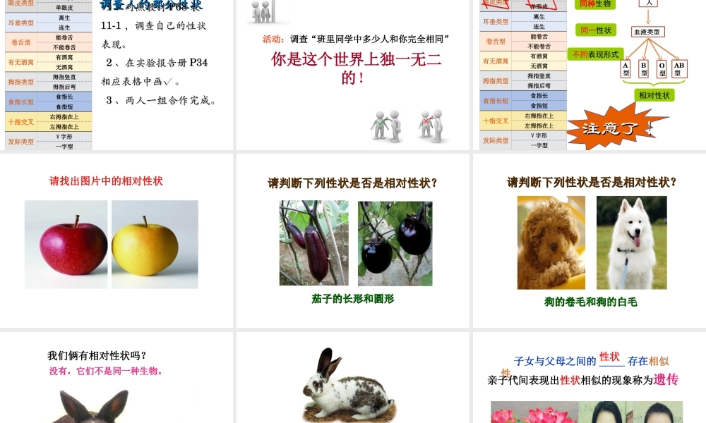 八年级生物上册 11.1 生物的性状表现教学课件 （新版）北京版-北京级上册生物课件