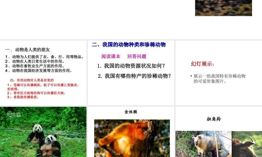 八年级生物上册 17.2 我国的动物资源课件 北师大版