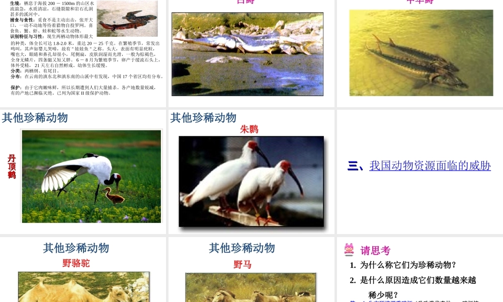 八年级生物上册 17.2 我国的动物资源课件 北师大版