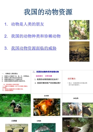 八年级生物上册 17.2 我国的动物资源课件 北师大版