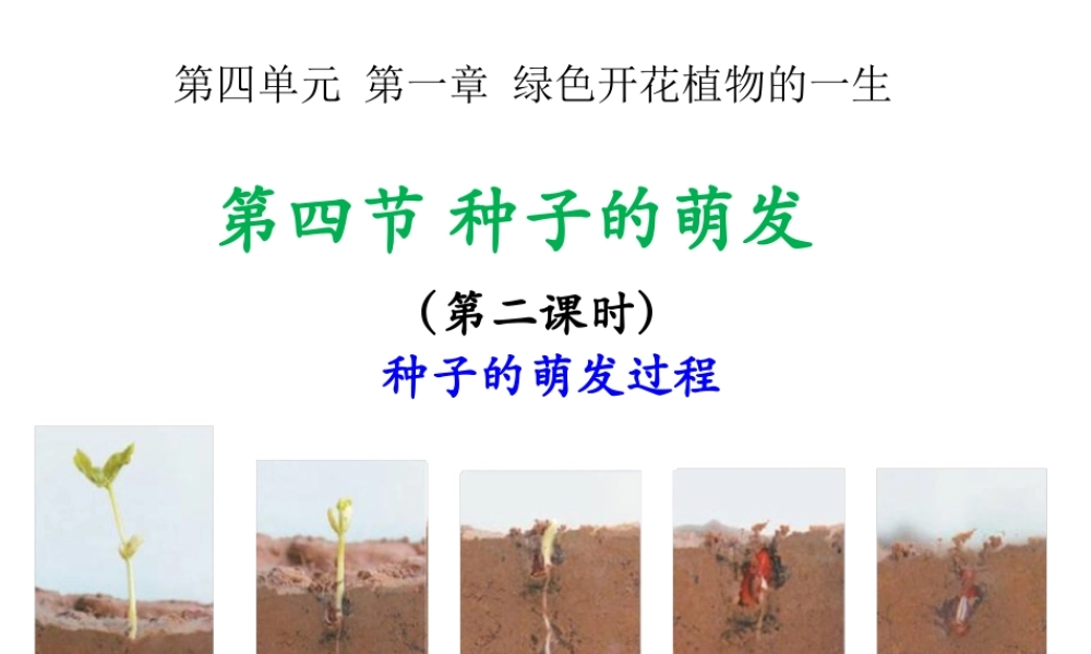 八年级生物上册 4.1.4《种子的萌发》课件3 （新版）济南版-（新版）济南版初中八年级上册生物课件