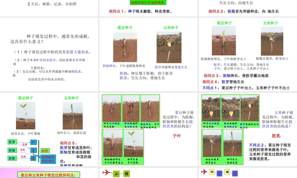 八年级生物上册 4.1.4《种子的萌发》课件3 （新版）济南版-（新版）济南版初中八年级上册生物课件