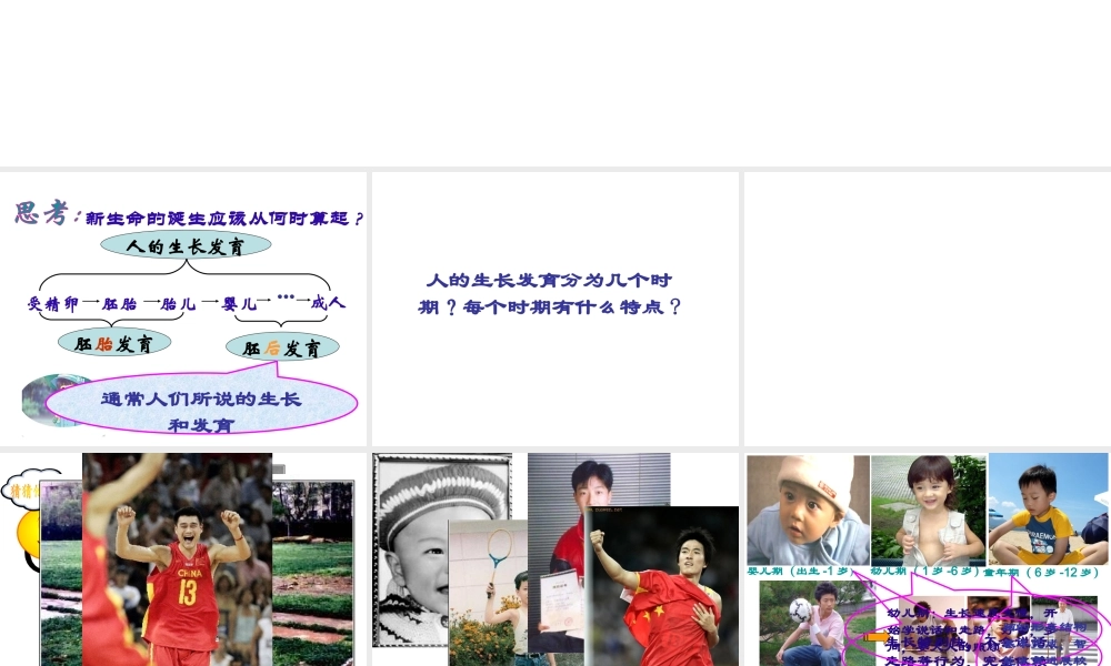 八年级生物上册 11.2 人体的生长和发育课件 北京课改版