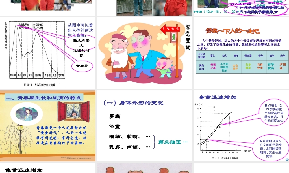 八年级生物上册 11.2 人体的生长和发育课件 北京课改版