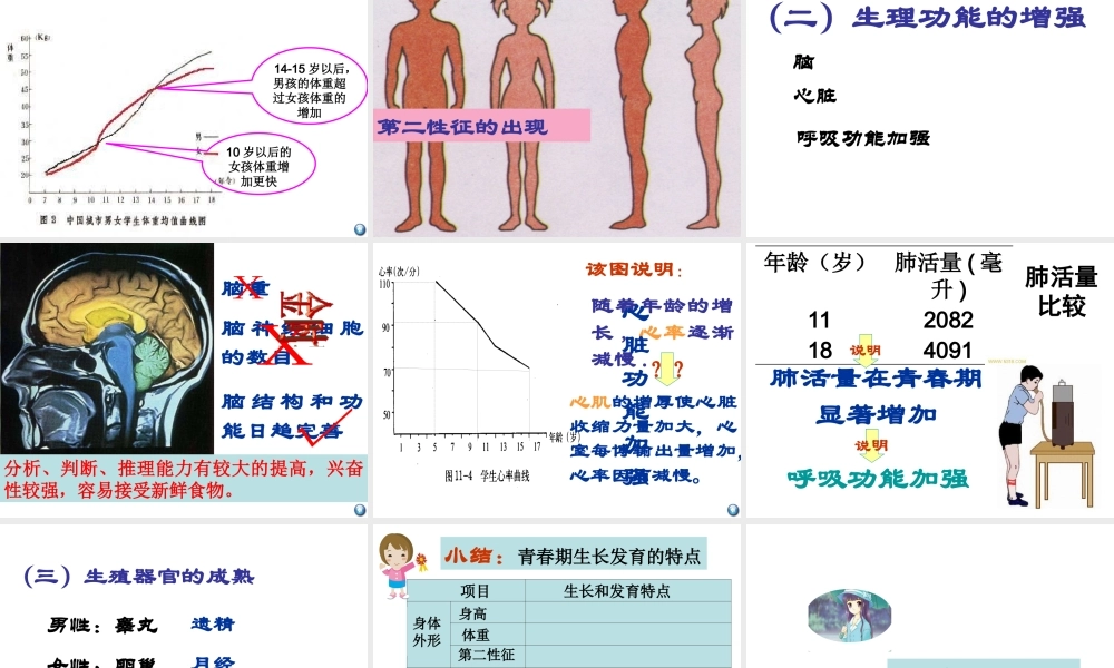 八年级生物上册 11.2 人体的生长和发育课件 北京课改版