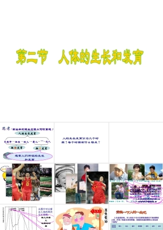 八年级生物上册 11.2 人体的生长和发育课件 北京课改版