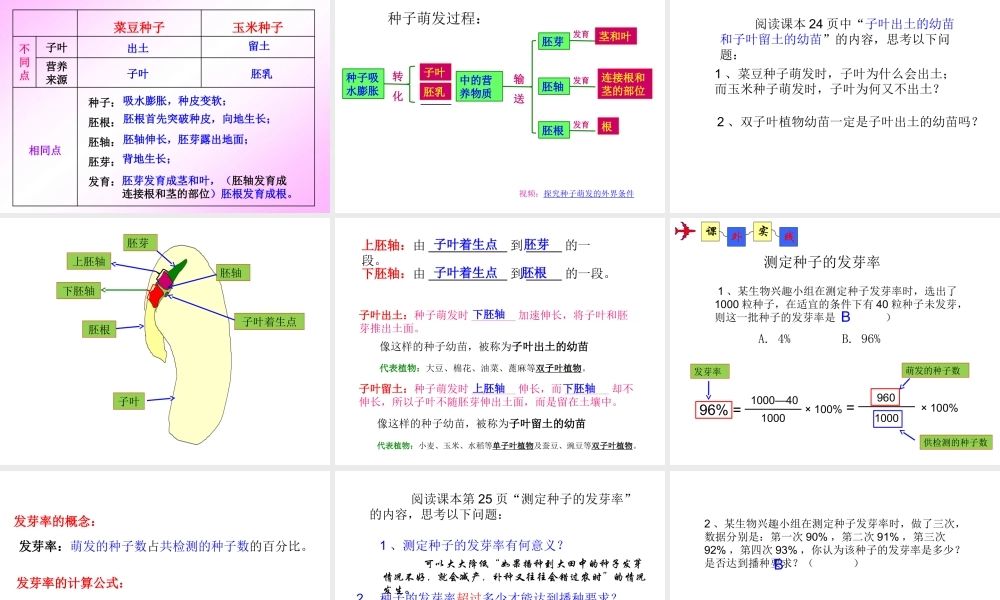 八年级生物上册 4.1.4《种子的萌发》课件3 （新版）济南版-（新版）济南级上册生物课件