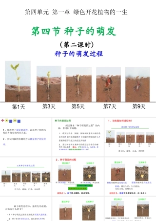 八年级生物上册 4.1.4《种子的萌发》课件3 （新版）济南版-（新版）济南级上册生物课件