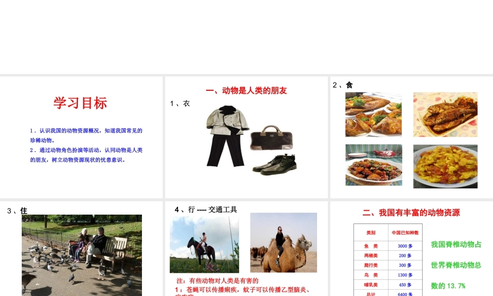 八年级生物上册 17.2《我国的动物资源及其保护》课件1 （新版）北师大版-（新版）北师大版初中八年级上册生物课件