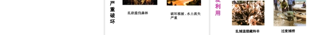 八年级生物上册 17.2《我国的动物资源及其保护》课件1 （新版）北师大版-（新版）北师大版初中八年级上册生物课件