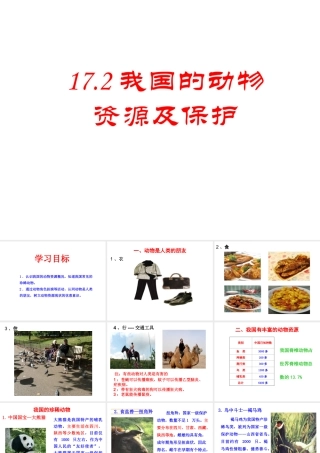 八年级生物上册 17.2《我国的动物资源及其保护》课件1 （新版）北师大版-（新版）北师大版初中八年级上册生物课件