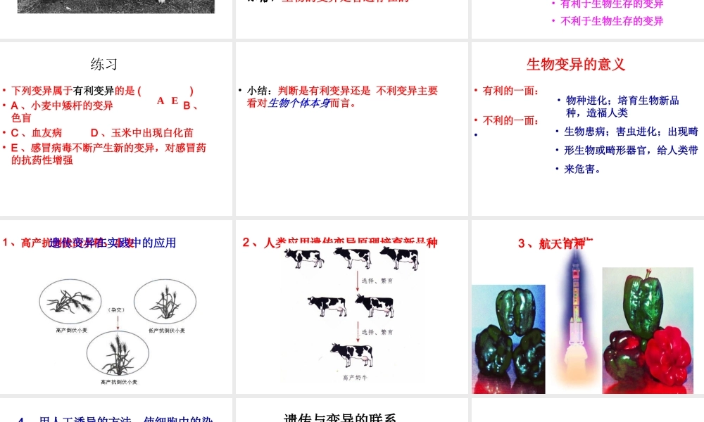 八年级生物上册 11.4 生物的变异教学课件 （新版）北京版-北京版初中八年级上册生物课件