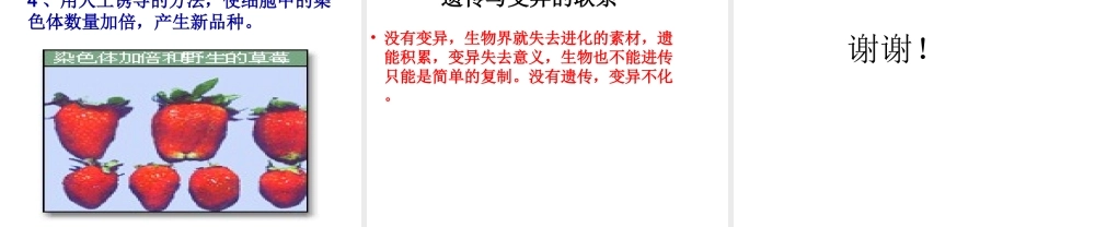 八年级生物上册 11.4 生物的变异教学课件 （新版）北京版-北京版初中八年级上册生物课件