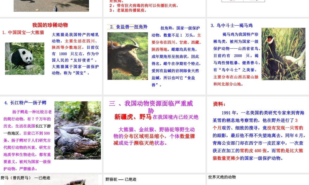 八年级生物上册 17.2《我国的动物资源及其保护》课件1 （新版）北师大版-（新版）北师大级上册生物课件