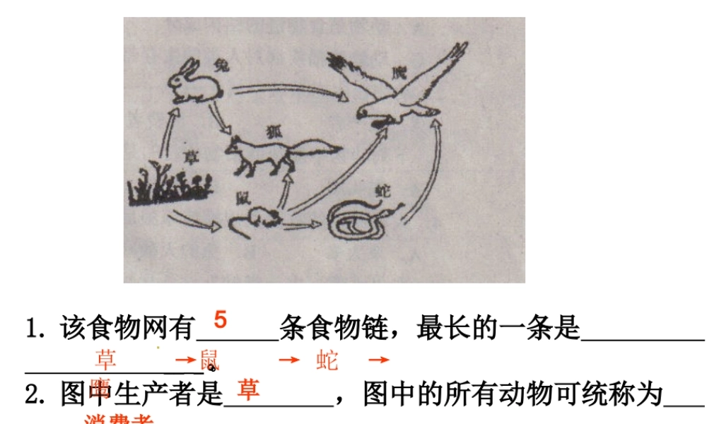 八年级生物上册 17.2《我国的动物资源及其保护》课件2 （新版）北师大版-（新版）北师大版初中八年级上册生物课件