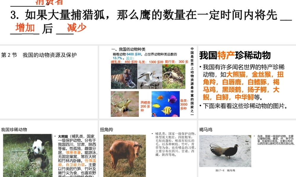 八年级生物上册 17.2《我国的动物资源及其保护》课件2 （新版）北师大版-（新版）北师大版初中八年级上册生物课件