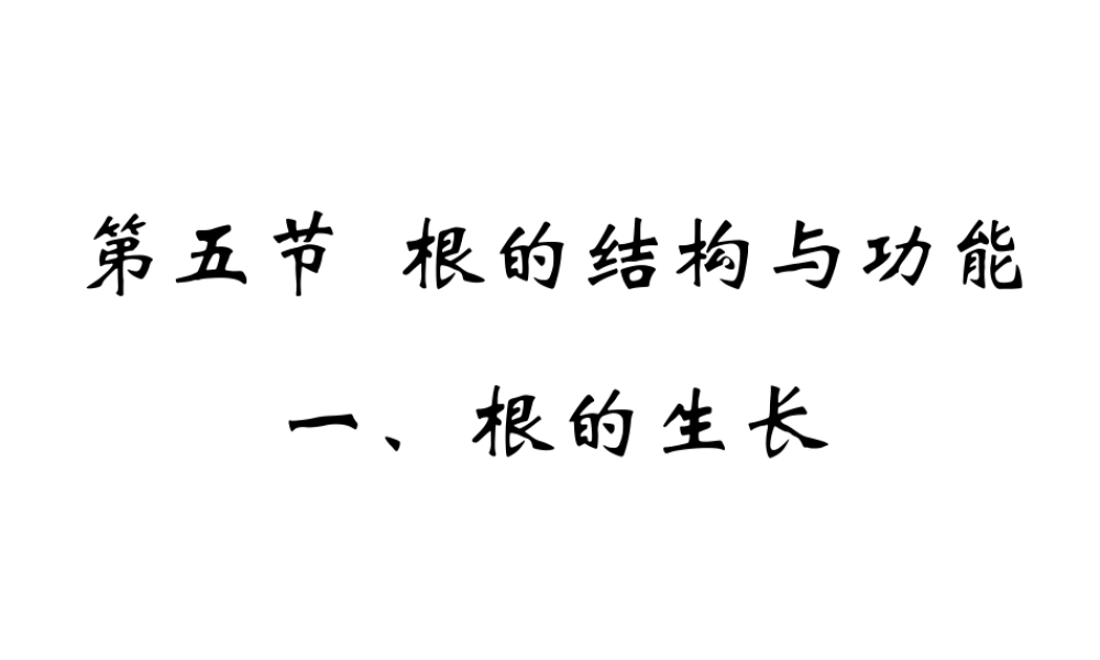 八年级生物上册 4.1.5 根的结构与功能课件 （新版）济南版