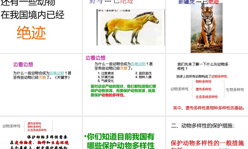八年级生物上册 17.2《我国的动物资源及其保护》课件2 （新版）北师大版-（新版）北师大级上册生物课件
