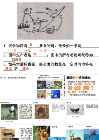 八年级生物上册 17.2《我国的动物资源及其保护》课件2 （新版）北师大版-（新版）北师大级上册生物课件