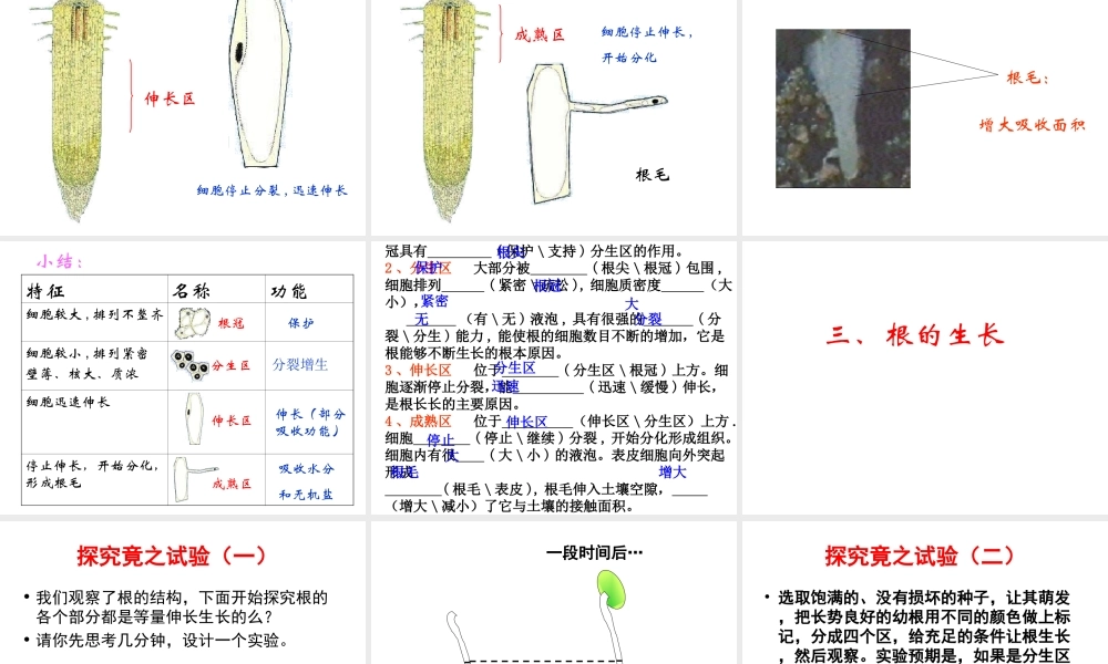 八年级生物上册 4.1.5 根的结构与功能课件 济南版