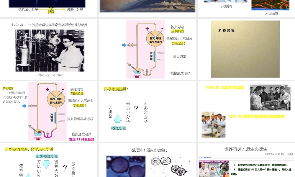 八年级生物上册 12.1 生命的起源教学课件 （新版）北京版-北京版初中八年级上册生物课件