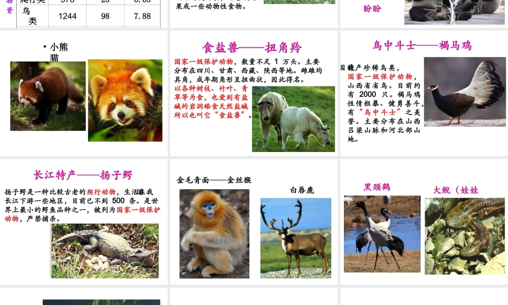 八年级生物上册 17.2《我国的动物资源及其保护》课件3 （新版）北师大版-（新版）北师大版初中八年级上册生物课件