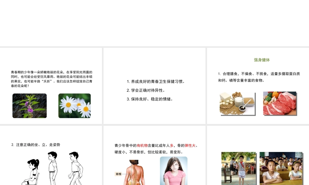 八年级生物上册 4.3.3《走向成熟》课件 （新版）济南版-（新版）济南级上册生物课件