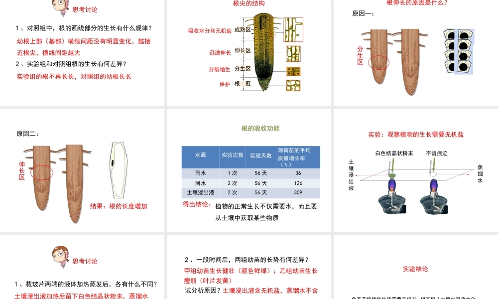 八年级生物上册 4.1.5《根的结构与功能》课件 （新版）济南版-（新版）济南级上册生物课件