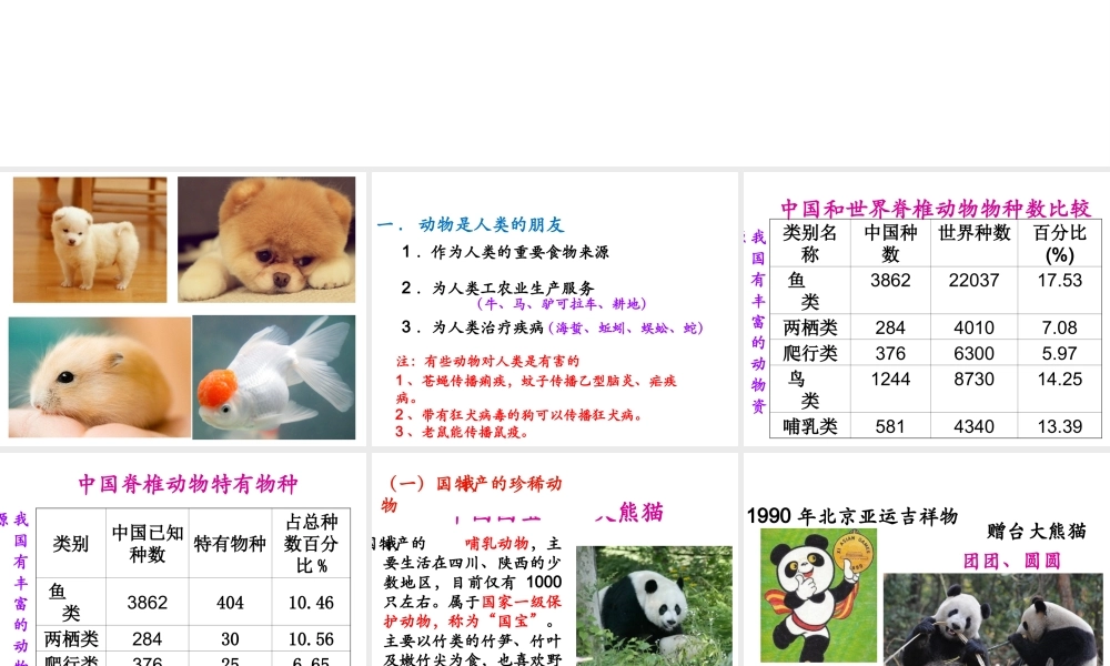 八年级生物上册 17.2《我国的动物资源及其保护》课件3 （新版）北师大版-（新版）北师大级上册生物课件