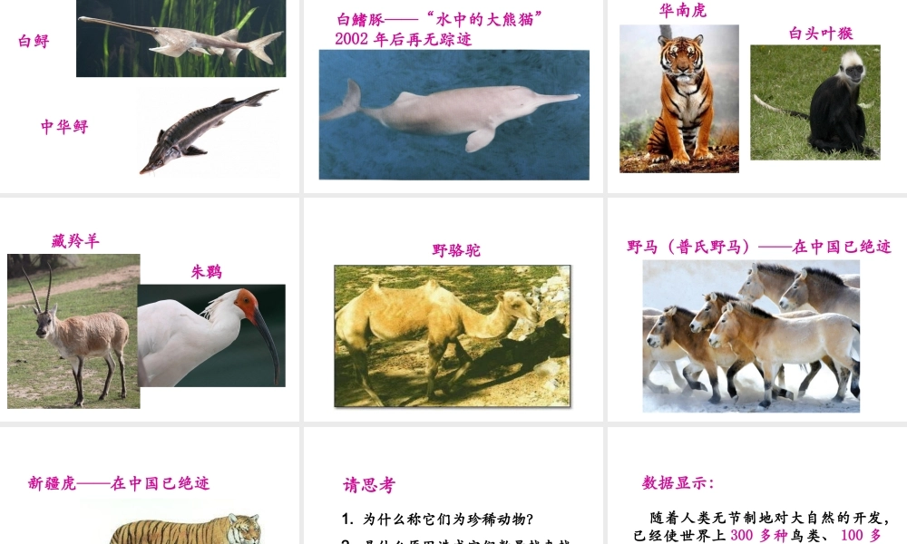 八年级生物上册 17.2《我国的动物资源及其保护》课件3 （新版）北师大版-（新版）北师大级上册生物课件
