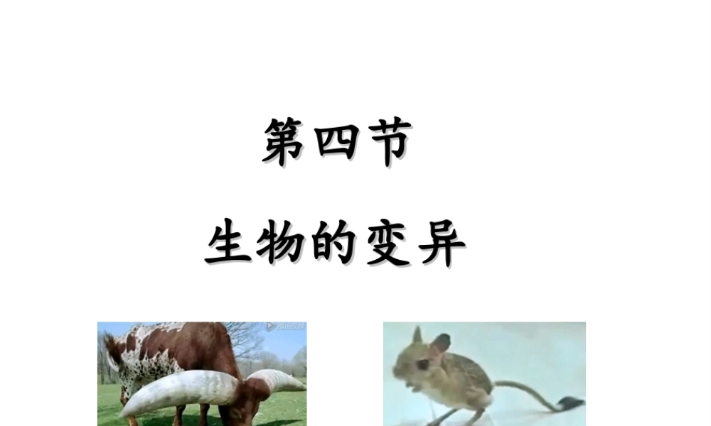 八年级生物上册 4.4 生物的变异课件 （新版）济南版