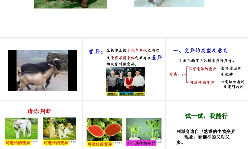 八年级生物上册 4.4 生物的变异课件 （新版）济南版