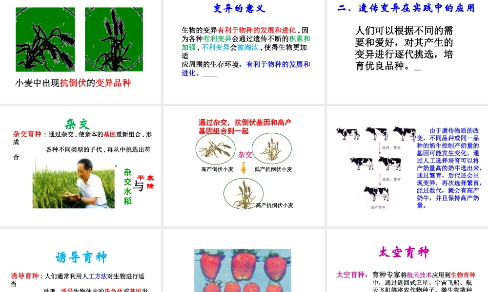 八年级生物上册 4.4 生物的变异课件 （新版）济南版