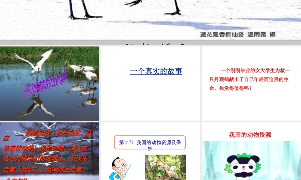 八年级生物上册 17.2《我国的动物资源及其保护》课件4 （新版）北师大版-（新版）北师大版初中八年级上册生物课件