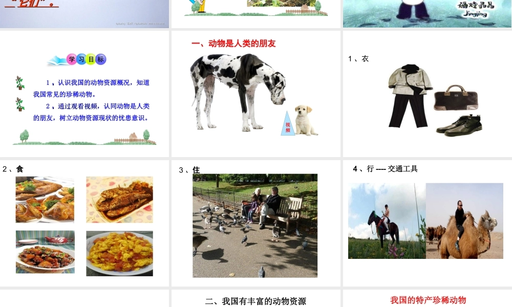 八年级生物上册 17.2《我国的动物资源及其保护》课件4 （新版）北师大版-（新版）北师大版初中八年级上册生物课件