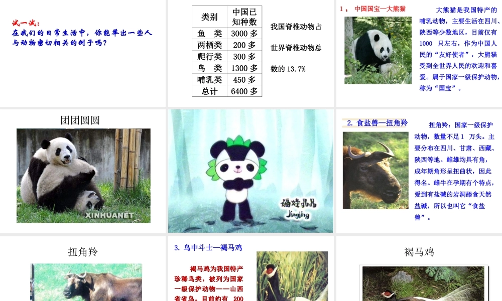 八年级生物上册 17.2《我国的动物资源及其保护》课件4 （新版）北师大版-（新版）北师大版初中八年级上册生物课件