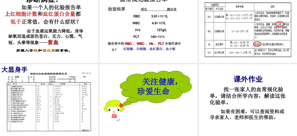 八年级生物上册 4.4.1 物质运输的载体课件 鲁科版五四制-鲁科版初中八年级上册生物课件