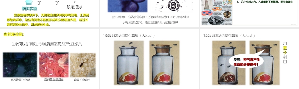 八年级生物上册 12.1 生命的起源教学课件 （新版）北京版-北京级上册生物课件