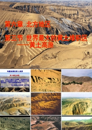 八年级地理下册 第六章 第三节 世界最大的黄土堆积区-黄土高原课件2 （新版）新人教版-（新版）新人教版初中八年级下册地理课件