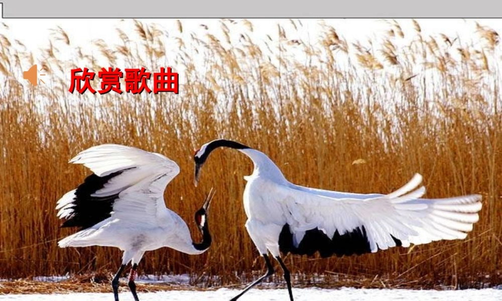 八年级生物上册 17.2《我国的动物资源及其保护》课件4 （新版）北师大版-（新版）北师大级上册生物课件