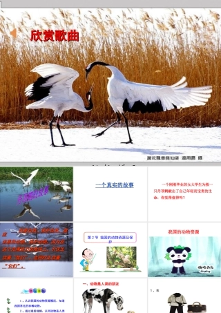 八年级生物上册 17.2《我国的动物资源及其保护》课件4 （新版）北师大版-（新版）北师大级上册生物课件