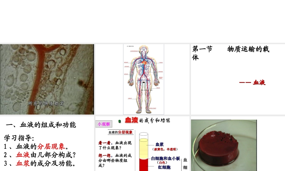 八年级生物上册 4.4.1 物质运输的载体课件 鲁科版五四制-鲁科级上册生物课件
