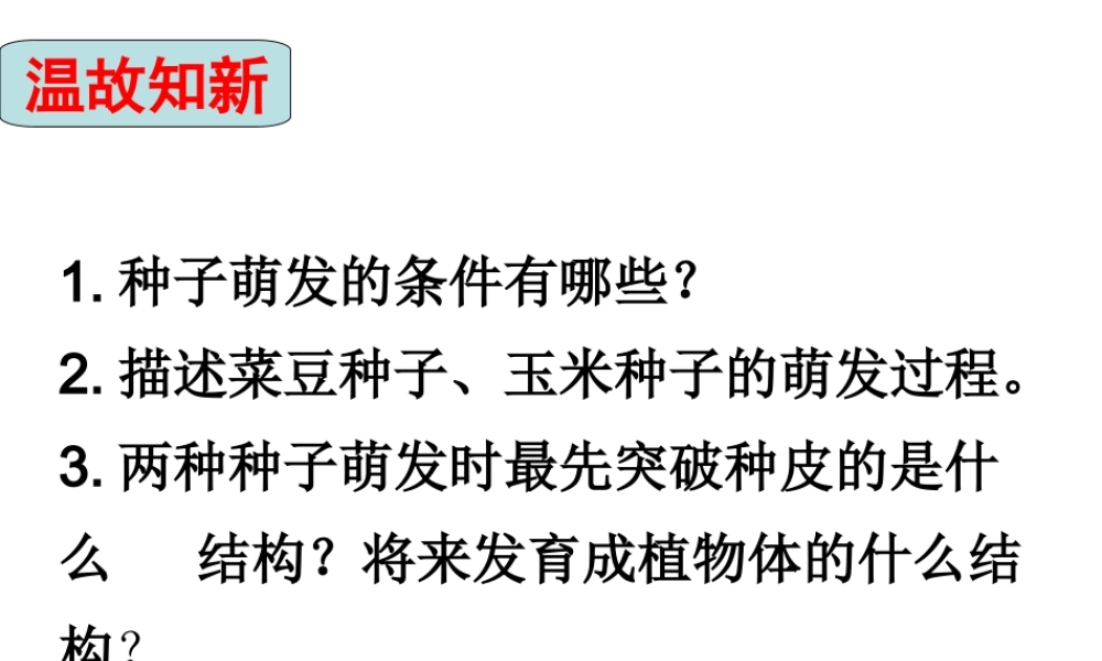 八年级生物上册 4.1.5《根的结构与功能》课件2 （新版）济南版-（新版）济南级全册生物课件